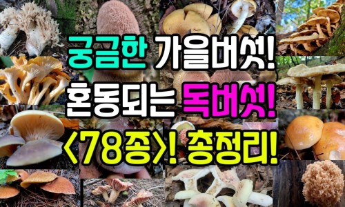 泡酒阴阳双补肾的药酒配方大全-什么中药一起泡酒补阴阳两虚吗网 - 泡酒阴阳双补肾的药酒配方大全,用什中药泡酒可以滋阴补阳