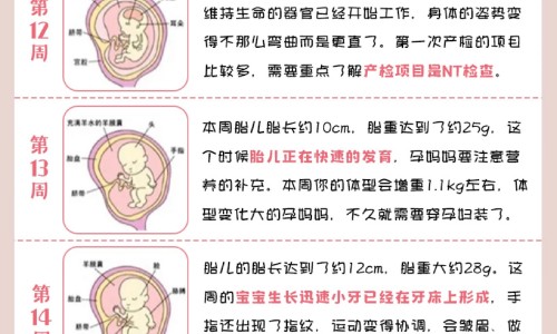 什么中药一起泡酒补阴阳两虚吗网 - 泡酒阴阳双补肾的药酒配方大全,用什中药泡酒可以滋阴补阳