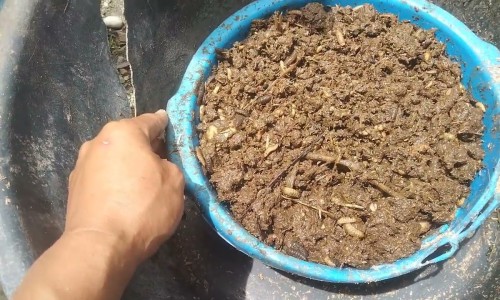 中草药泡酒滋阴壮阳配方-什么中药一起泡酒补阴阳两虚吗网 - 泡酒阴阳双补肾的药酒配方大全,用什中药泡酒可以滋阴补阳